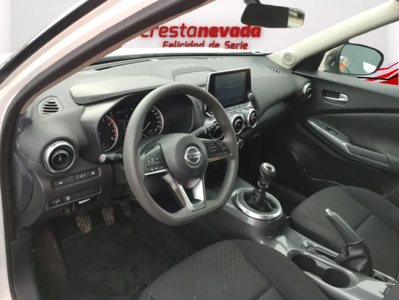 Imagen de NISSAN JUKE