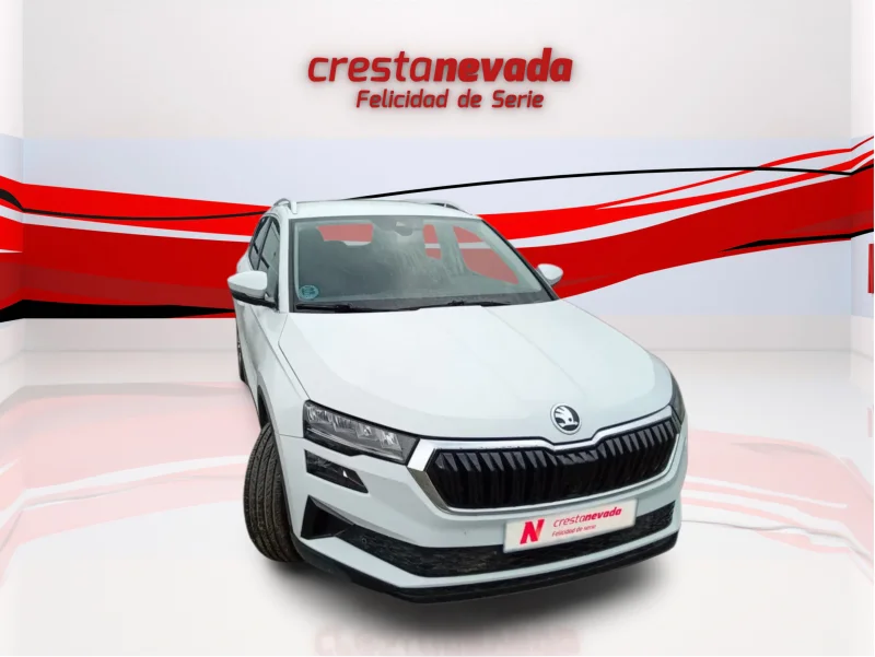 Imagen de Skoda Karoq