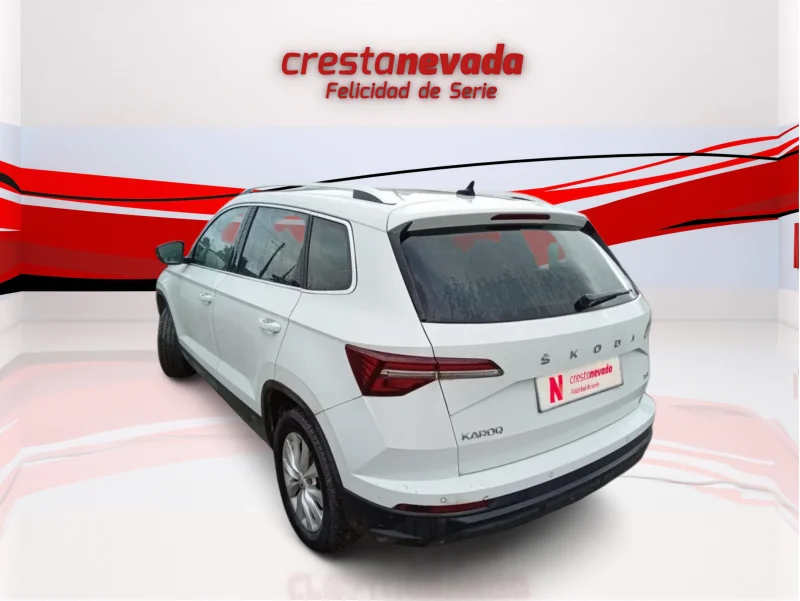Imagen de Skoda Karoq