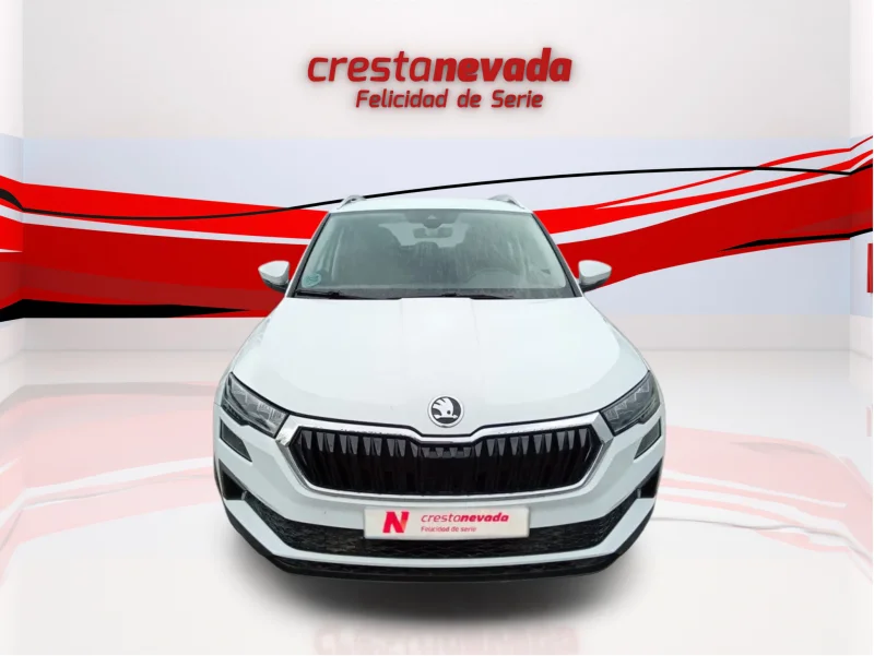 Imagen de Skoda Karoq