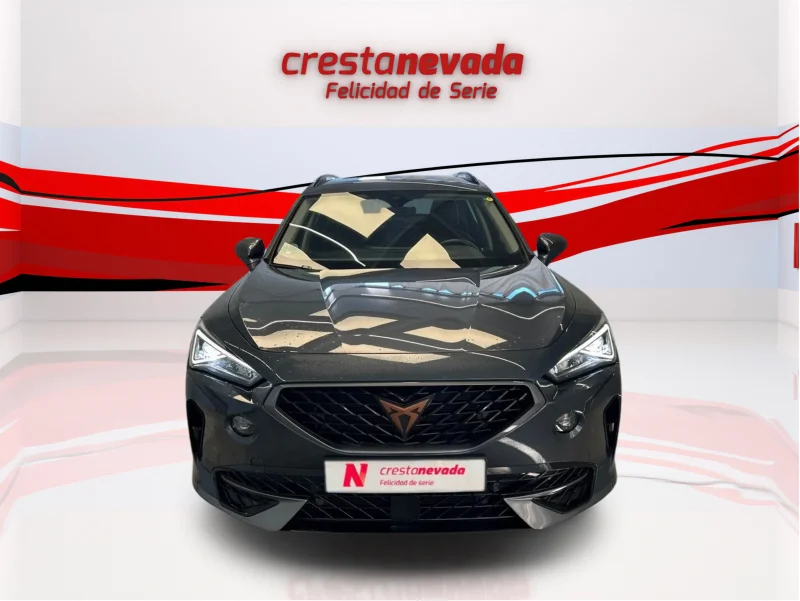 Imagen de cupra Formentor