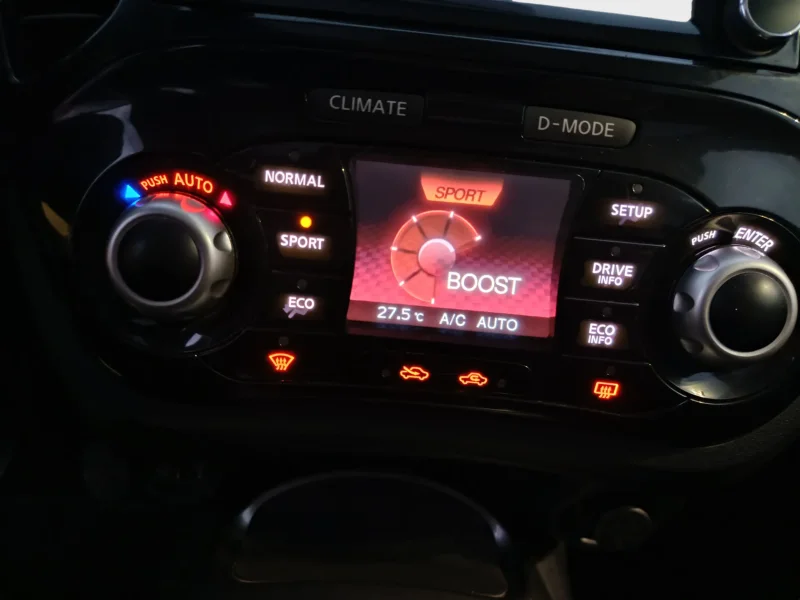 Imagen de NISSAN JUKE