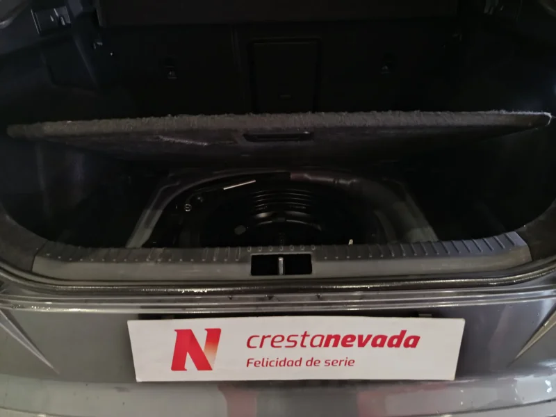 Imagen de cupra Formentor