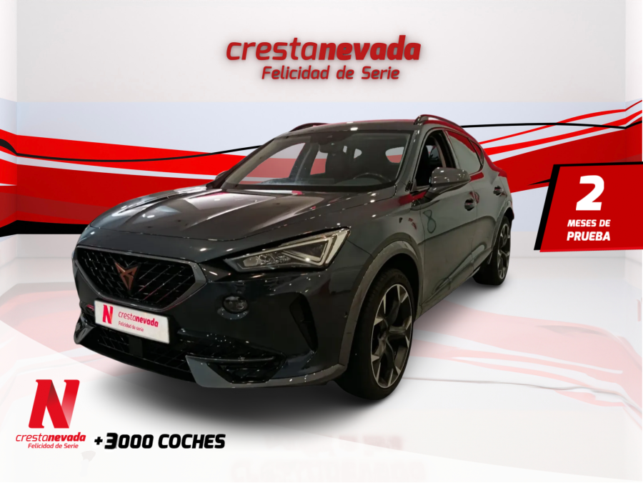 Imagen de cupra Formentor