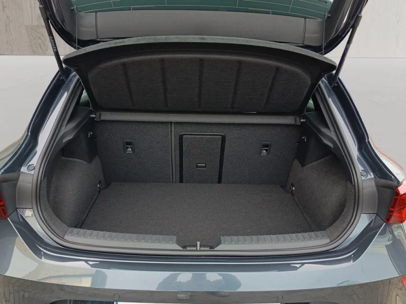Imagen de cupra León