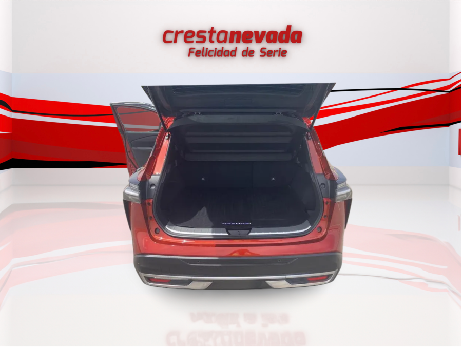 Imagen de NISSAN QASHQAI