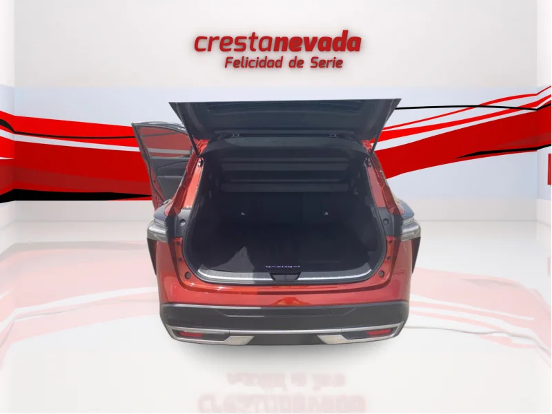 Imagen de NISSAN QASHQAI