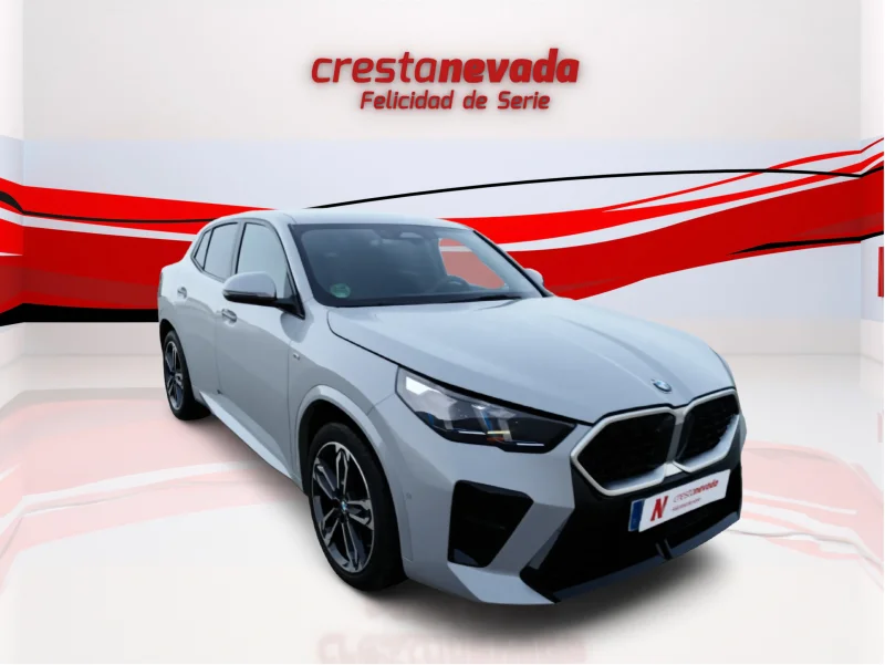 Imagen de BMW X2