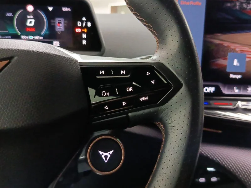 Imagen de cupra Tavascan