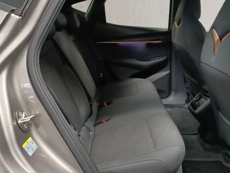 Imagen de cupra Tavascan