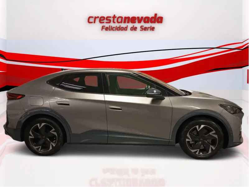 Imagen de cupra Tavascan