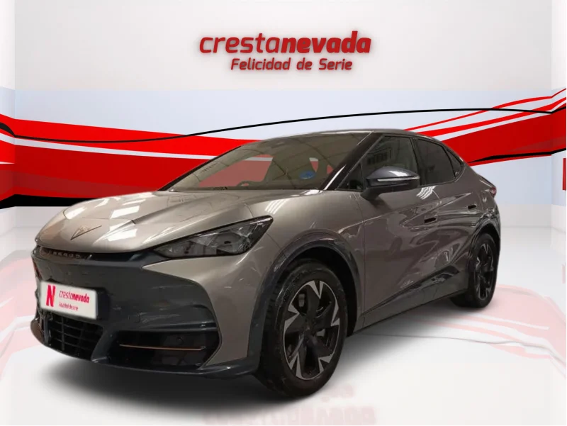 Imagen de cupra Tavascan