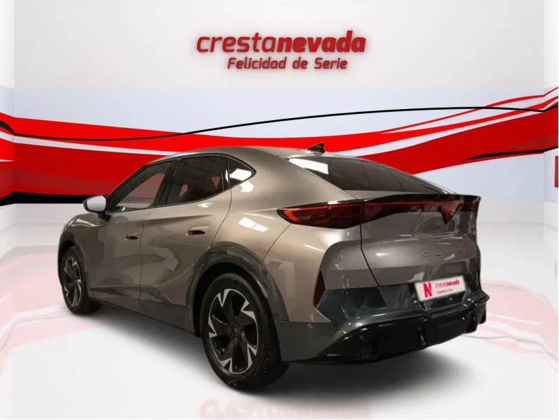 Imagen de cupra Tavascan