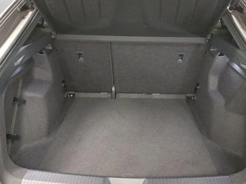 Imagen de cupra Tavascan