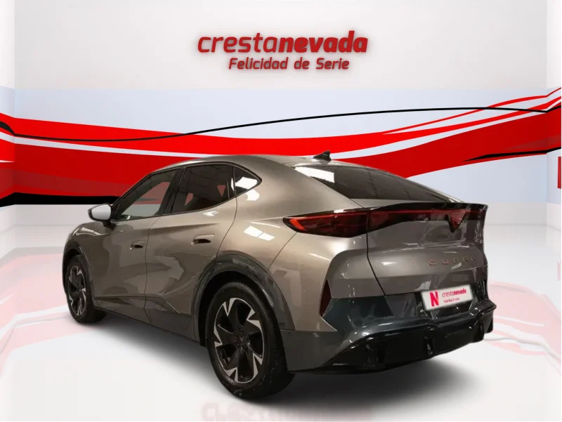 Imagen de cupra Tavascan