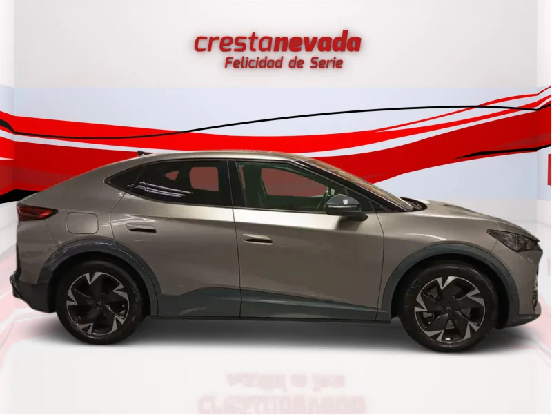 Imagen de cupra Tavascan