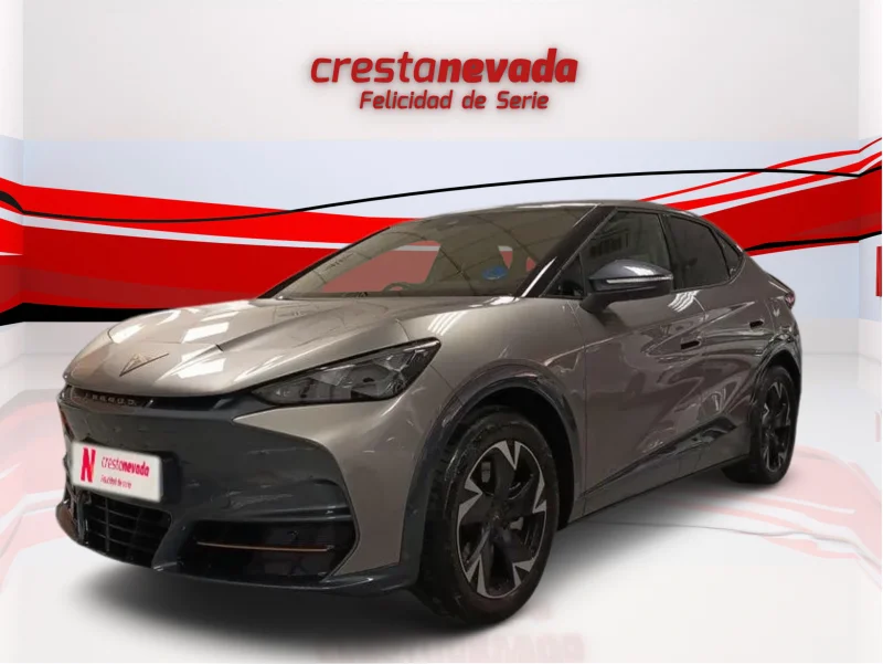 Imagen de cupra Tavascan