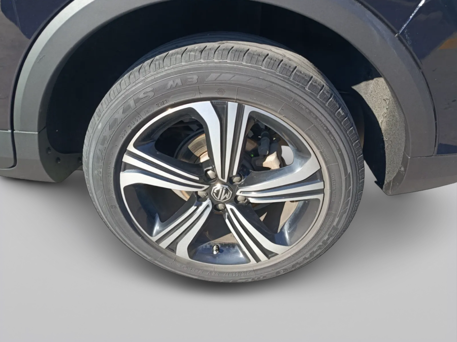 Imagen de Mg ZS