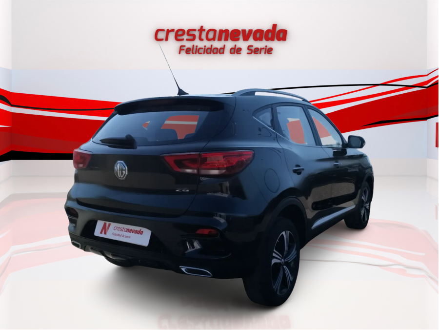 Imagen de Mg ZS