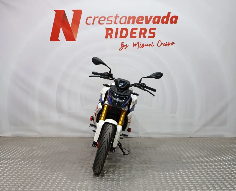 Imagen de BMW G 310 R