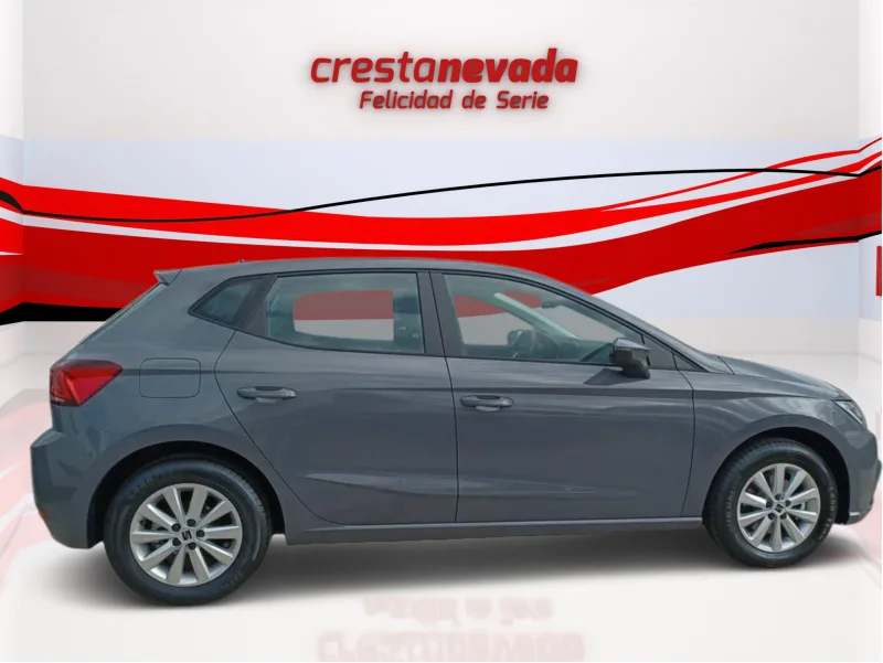 Imagen de SEAT Ibiza