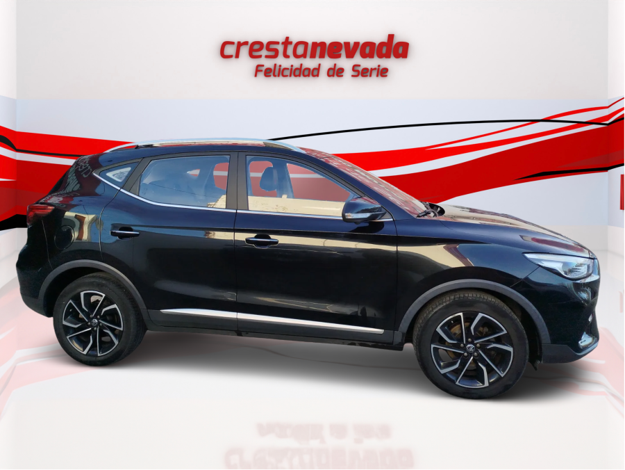 Imagen de Mg ZS