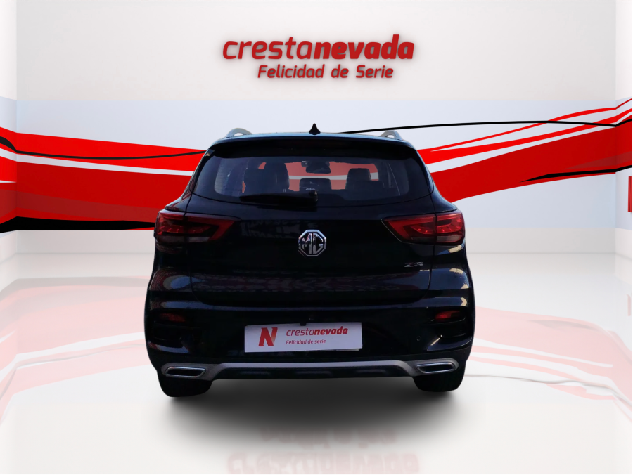 Imagen de Mg ZS