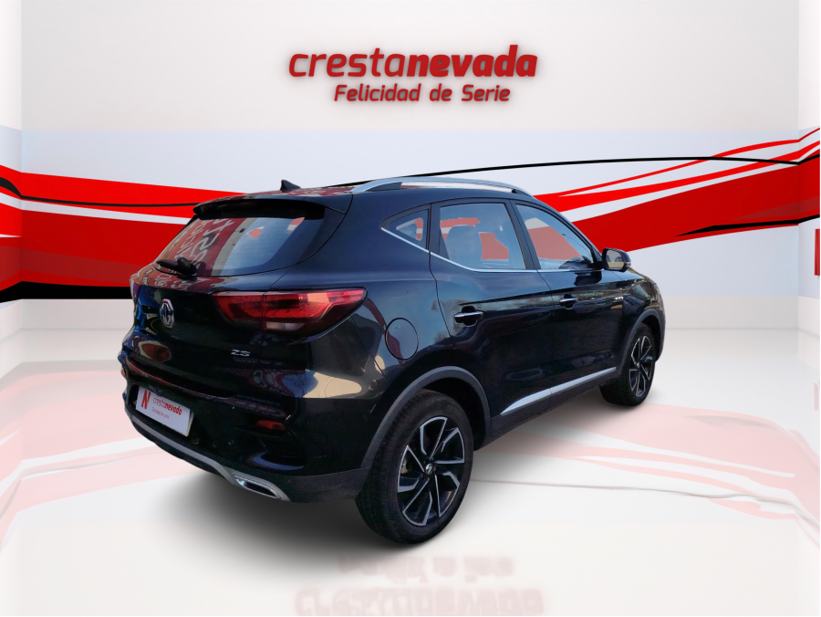 Imagen de Mg ZS