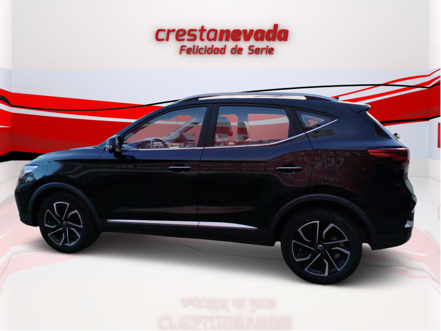 Imagen de Mg ZS