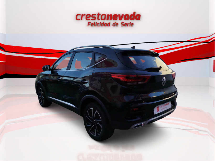 Imagen de Mg ZS