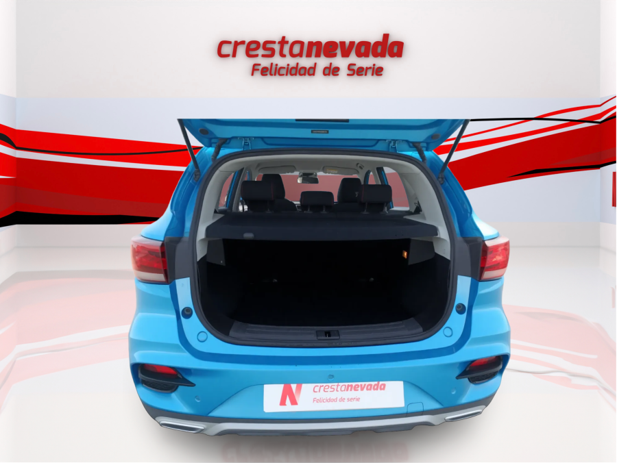 Imagen de Mg ZS