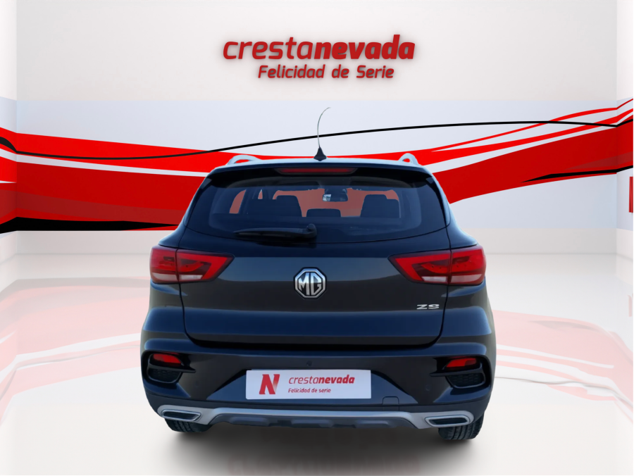 Imagen de Mg ZS