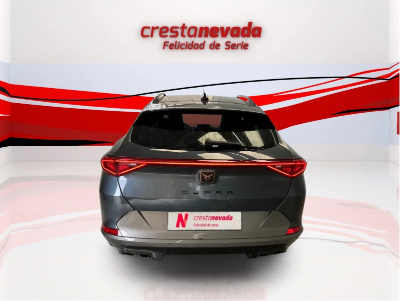 Imagen de cupra Formentor