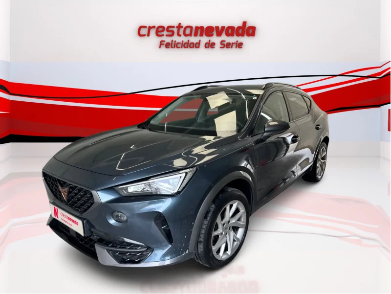 Imagen de cupra Formentor