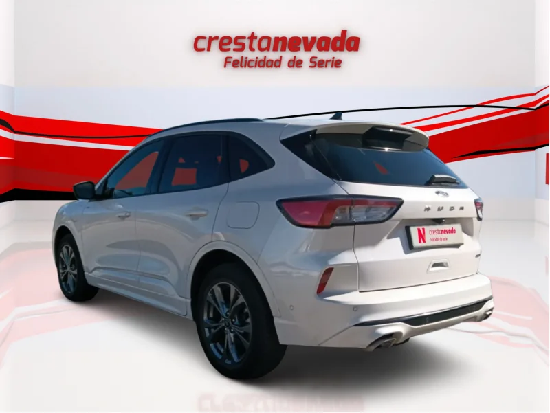 Imagen de Ford Kuga