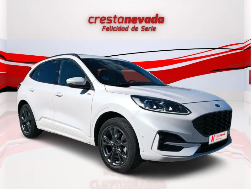 Imagen de Ford Kuga