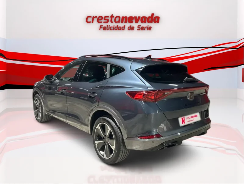 Imagen de cupra Formentor