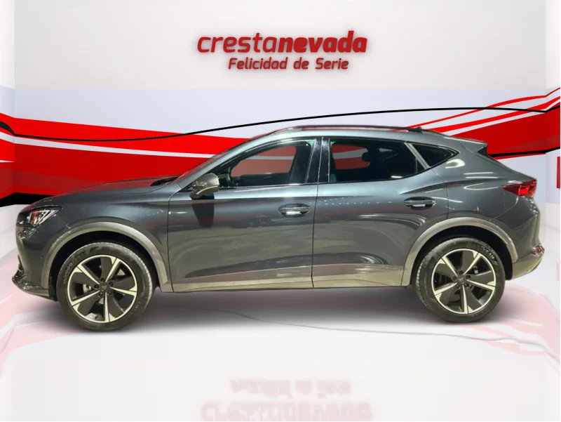 Imagen de cupra Formentor