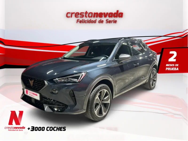 Imagen de cupra Formentor