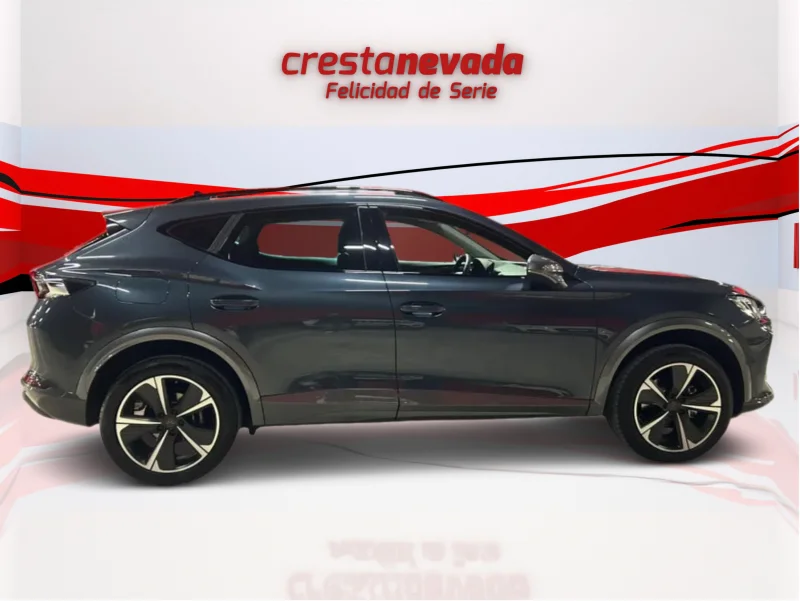 Imagen de cupra Formentor