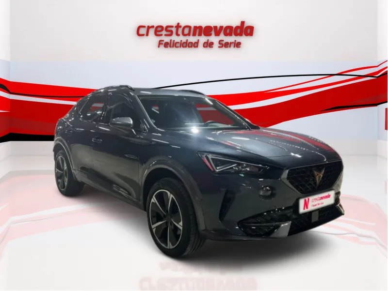 Imagen de cupra Formentor