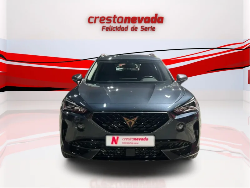 Imagen de cupra Formentor