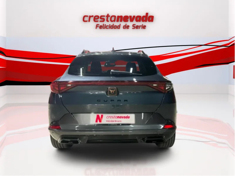 Imagen de cupra Formentor