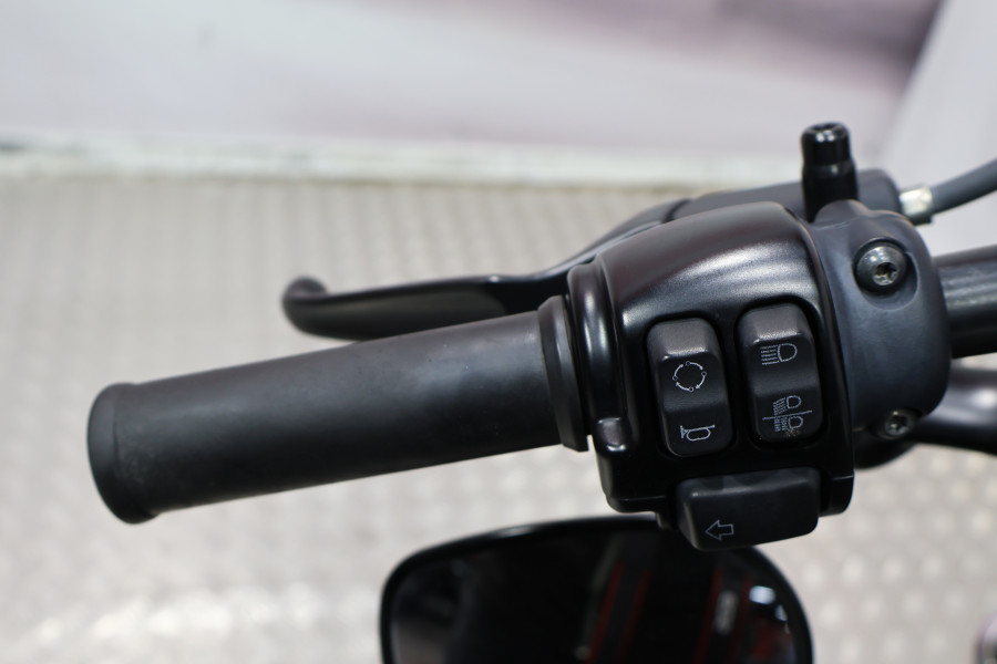 Imagen 8 de Harley-Davidson FORTY-EIGHT 1200 Gasolina 67 CV