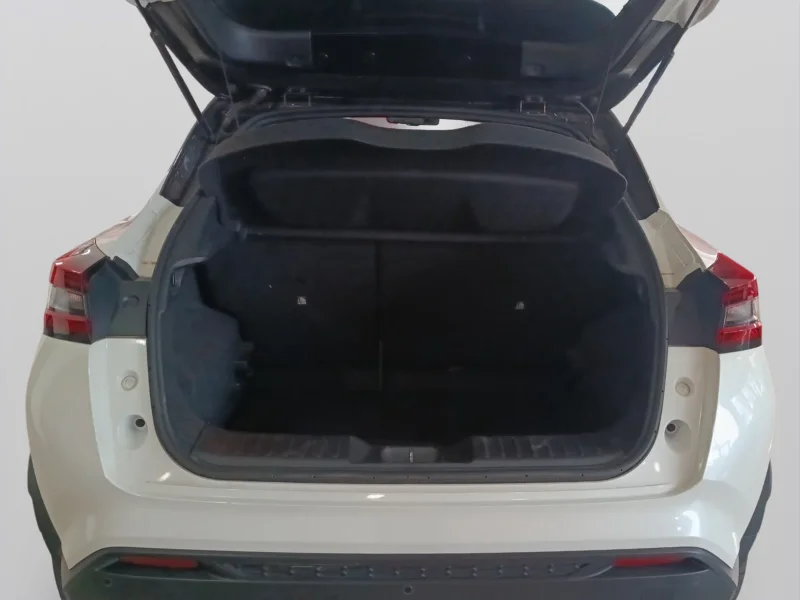 Imagen de NISSAN JUKE