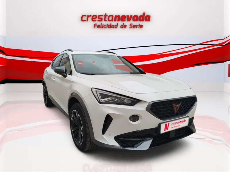 Imagen de cupra Formentor