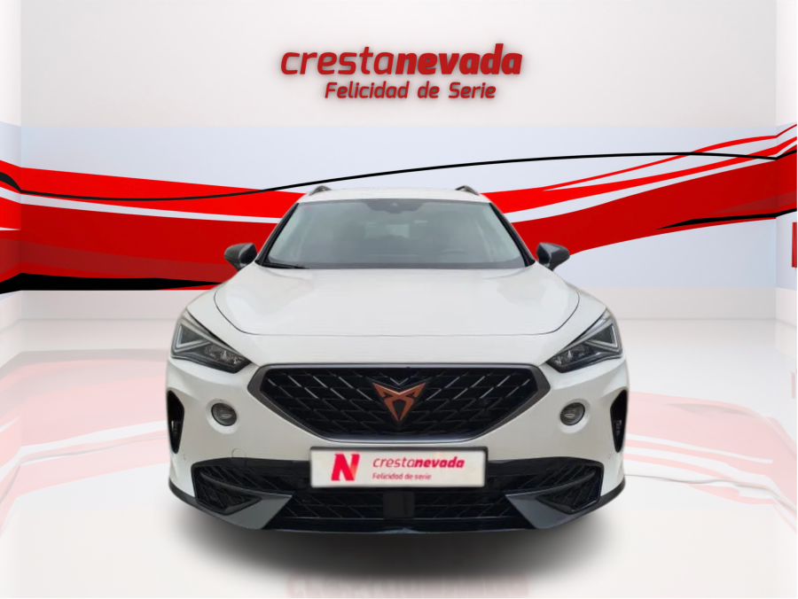 Imagen de cupra Formentor