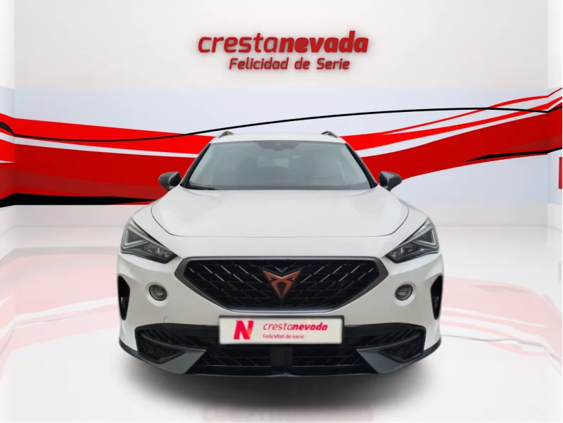 Imagen de cupra Formentor