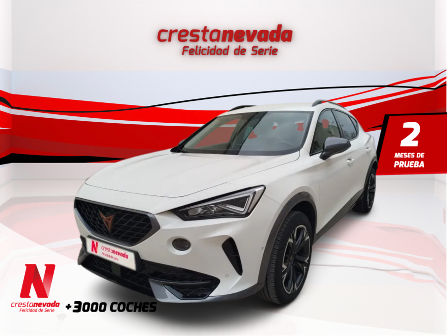 Imagen de cupra Formentor