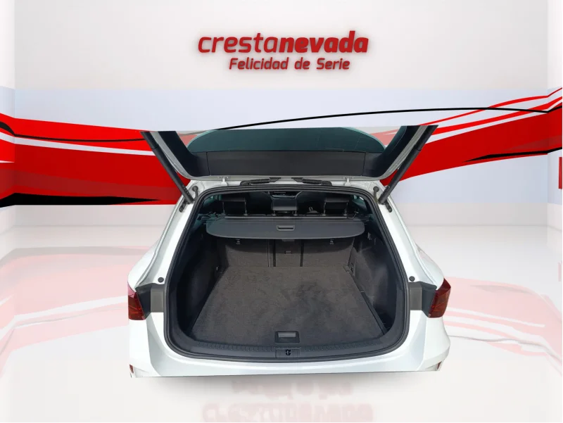 Imagen de cupra León